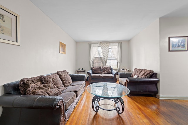 living room with wood-type flooring