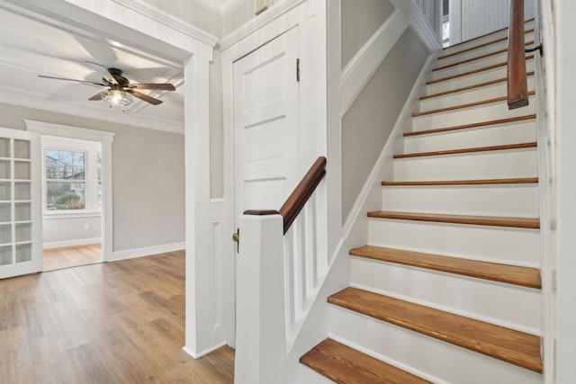 stairs with wood-type flooring, ceiling fan, and ornamental molding