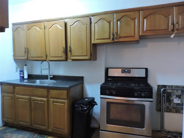 kitchen with stainless steel gas stove and sink