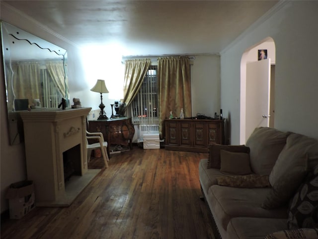 sitting room with crown molding and dark hardwood / wood-style floors