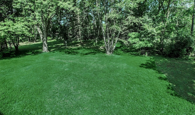 8 Maple Dr, Warwick, NY 10990 - view of green lawn