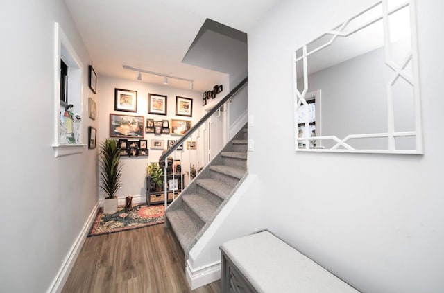 stairway with rail lighting and hardwood / wood-style flooring