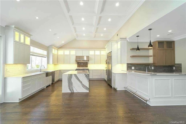 kitchen featuring under cabinet range hood, dark wood-style floors, a center island, and a sink