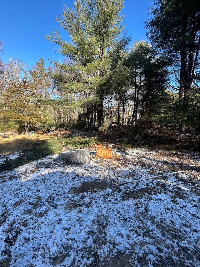 view of yard layered in snow