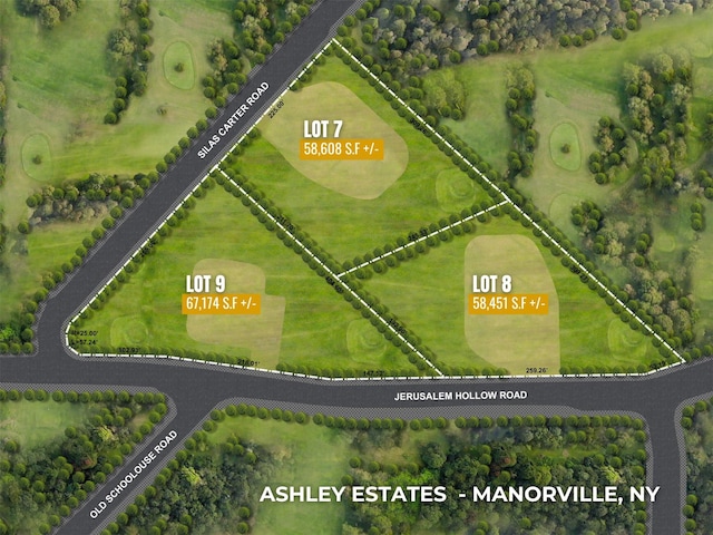 Listing photo 3 for LOT9 Jerusalem Hallow Rd, Manorville NY 11949