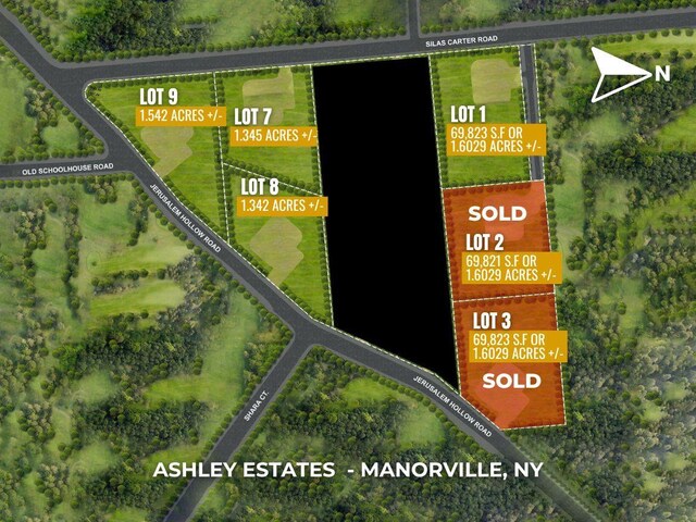 LOT9 Jerusalem Hallow Rd, Manorville, NY 11949 - photo 3