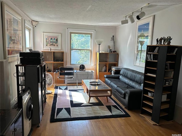 living room with light hardwood / wood-style floors, a textured ceiling, and ornamental molding