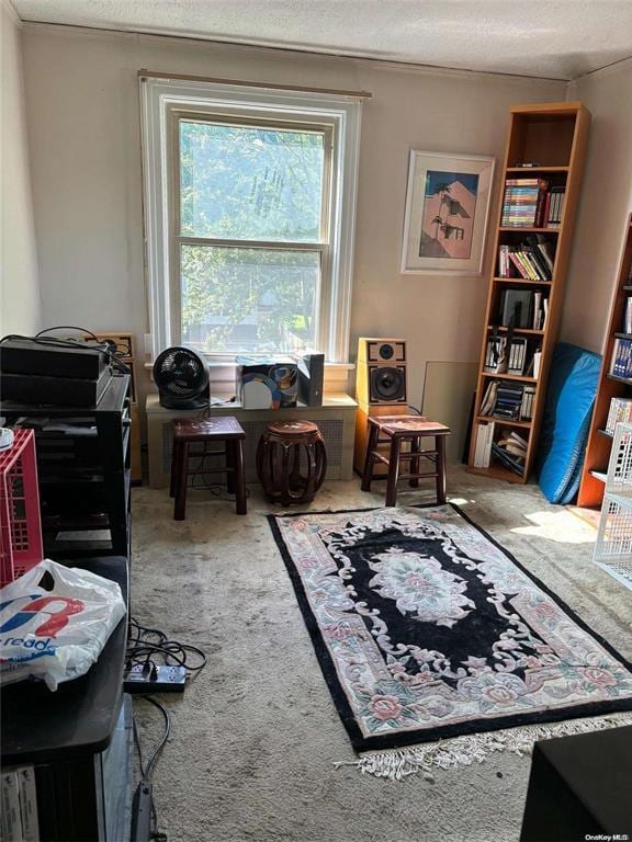 carpeted home office featuring a textured ceiling