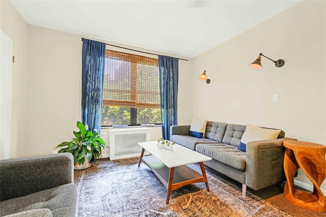 living room featuring radiator and hardwood / wood-style flooring