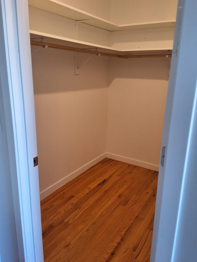 walk in closet featuring wood-type flooring