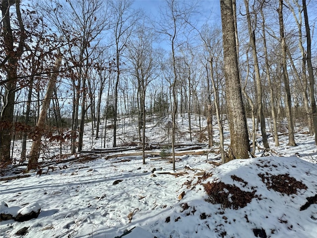 view of snow covered land