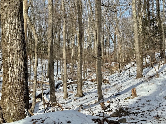 view of snowy view