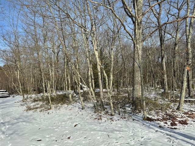 view of snow covered land