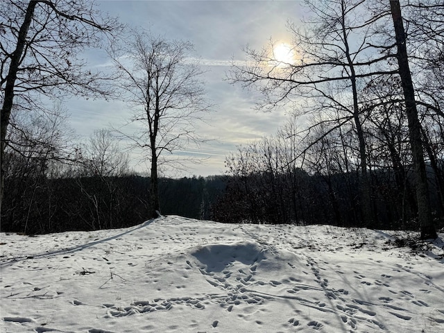 view of yard covered in snow