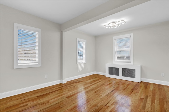 empty room featuring a healthy amount of sunlight and wood-type flooring