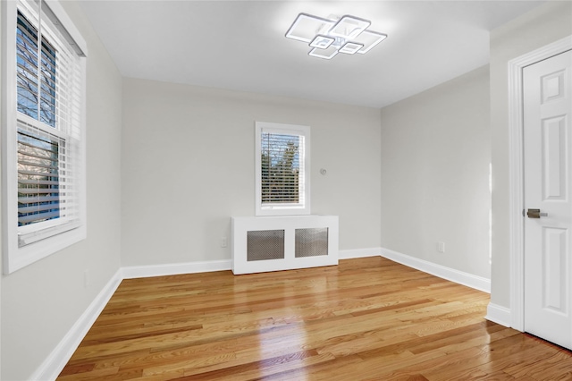 interior space with wood-type flooring