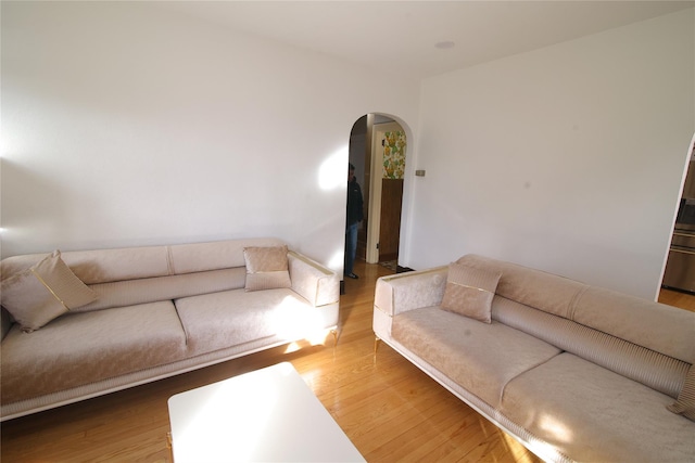 living room featuring hardwood / wood-style flooring