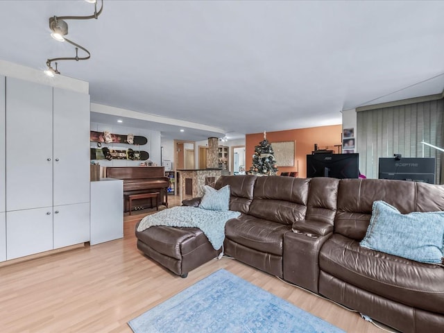 living room with light wood-type flooring