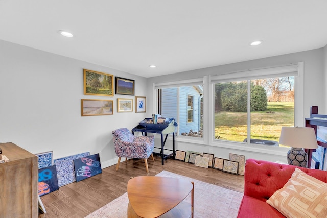 sitting room with hardwood / wood-style flooring