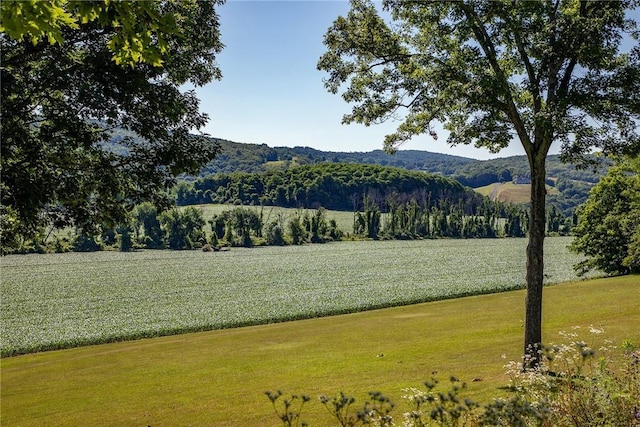 view of mountain feature