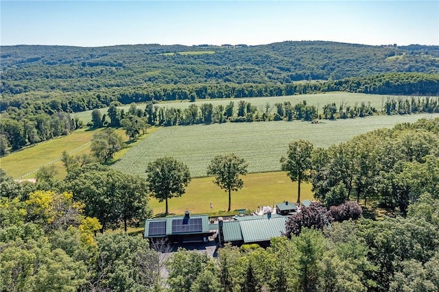 birds eye view of property featuring a rural view