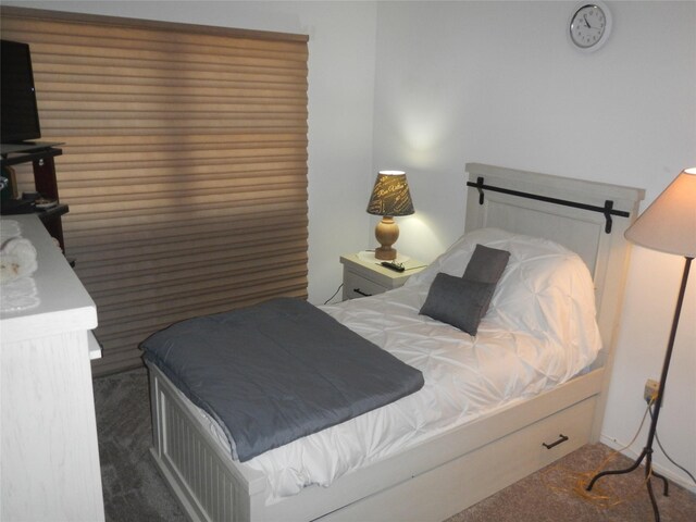 11 Westchester Ct, Middle Island, NY 11953 - view of carpeted bedroom