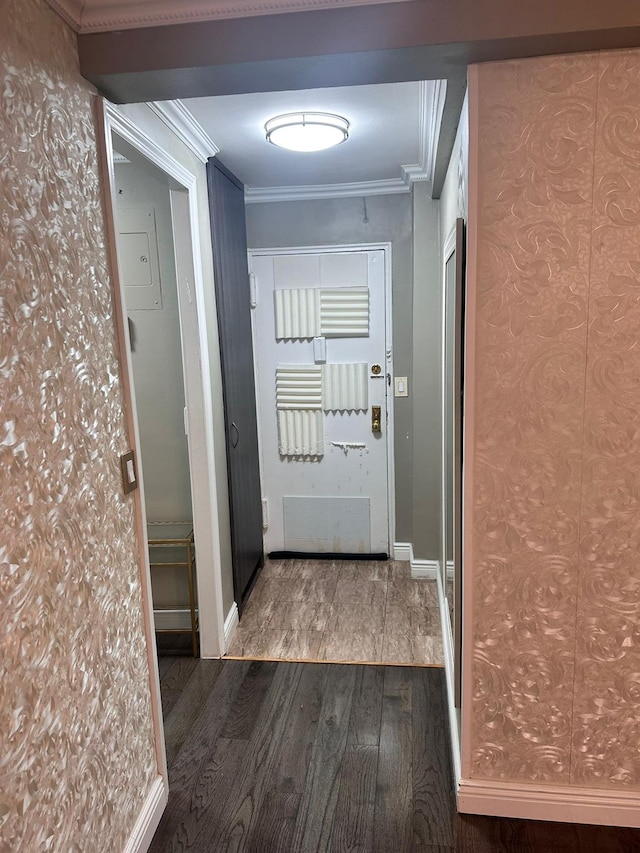 doorway featuring dark wood-type flooring and ornamental molding