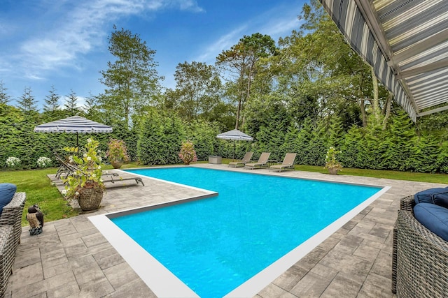 view of swimming pool with a patio area