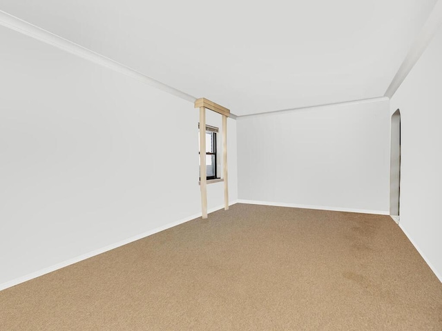 spare room with carpet floors and ornamental molding