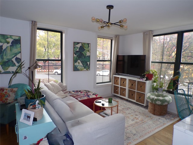 living room with a chandelier, hardwood / wood-style floors, and a healthy amount of sunlight