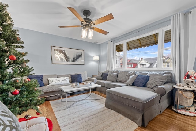 living room with ceiling fan and light wood-type flooring