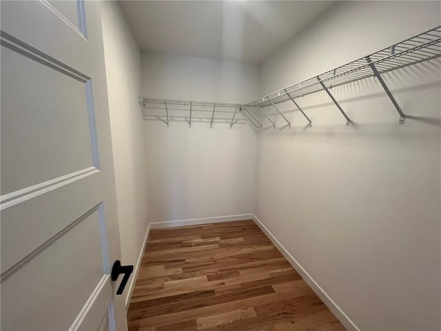 spacious closet with hardwood / wood-style flooring