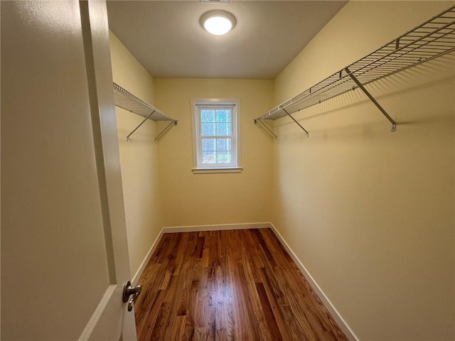 spacious closet featuring wood-type flooring