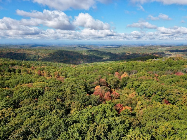 drone / aerial view