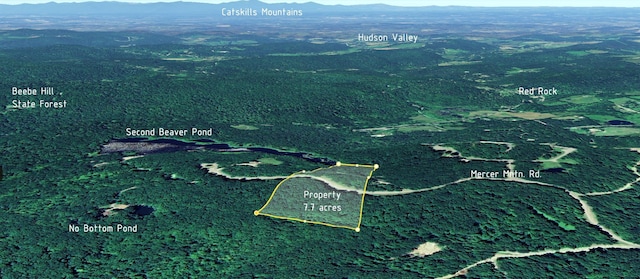 aerial view with a mountain view