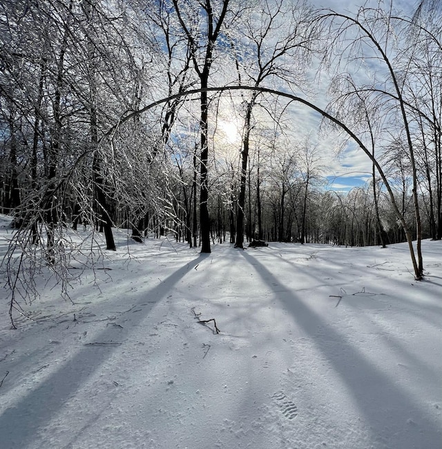 view of yard layered in snow