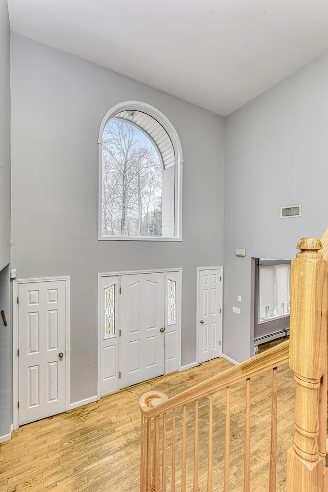 foyer with wood-type flooring