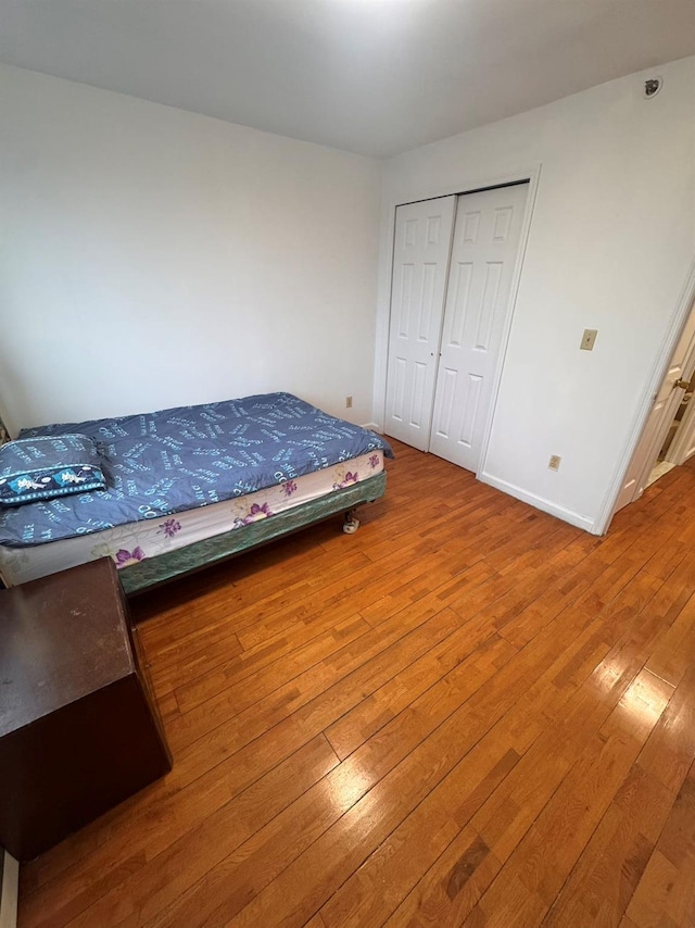 bedroom with a closet and wood-type flooring