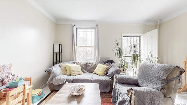 living room with ornamental molding