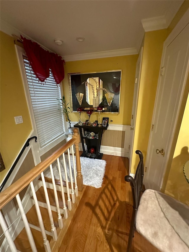 corridor featuring hardwood / wood-style floors and crown molding