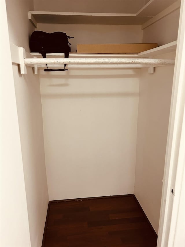 spacious closet featuring dark wood-type flooring