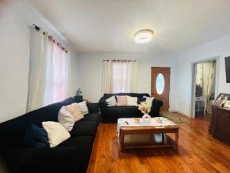 living room featuring hardwood / wood-style flooring