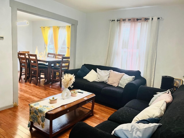 living room featuring hardwood / wood-style flooring and a healthy amount of sunlight