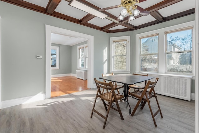 dining room with light wood-type flooring, coffered ceiling, ceiling fan, beamed ceiling, and radiator heating unit