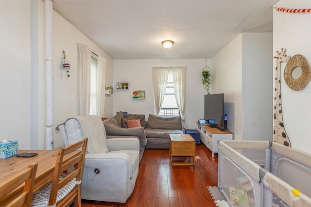 living room with dark hardwood / wood-style flooring