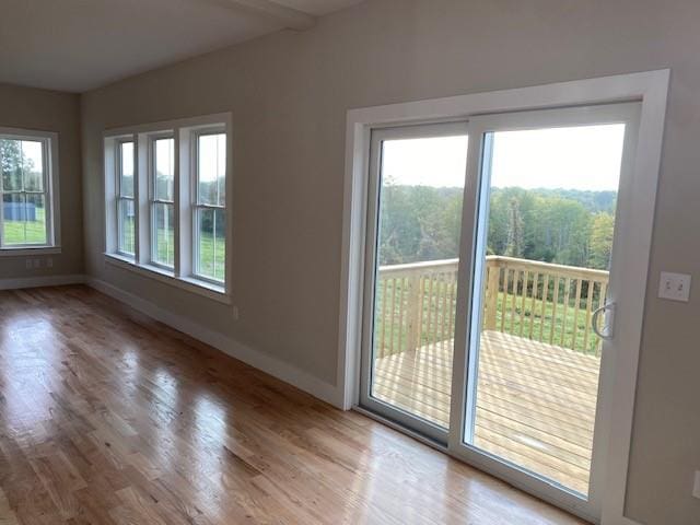 interior space featuring a healthy amount of sunlight and hardwood / wood-style flooring