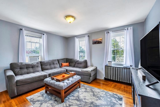 living room featuring radiator and hardwood / wood-style flooring