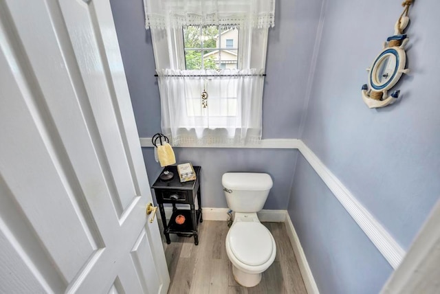 bathroom with wood-type flooring and toilet