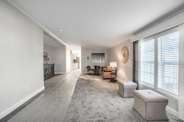 carpeted living room featuring crown molding