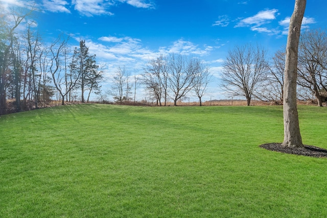 view of yard featuring a rural view